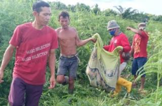 Warga Dumai Ditemukan Tewas Tercabik-cabik Diduga Diserang Harimau